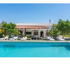 Dehesa Olive Сasa de vacaciones Lucena